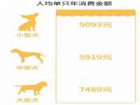 阜南豪御信息科技有限公司