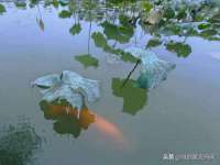 阜南豪御信息科技有限公司
