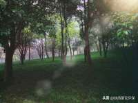 阜南豪御信息科技有限公司