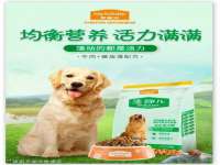 阜南豪御信息科技有限公司