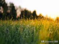 阜南豪御信息科技有限公司