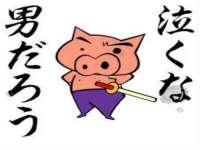 阜南豪御信息科技有限公司