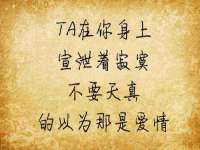 阜南豪御信息科技有限公司
