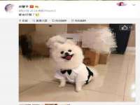 阜南豪御信息科技有限公司