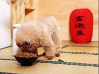 阜南豪御信息科技有限公司