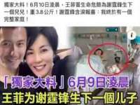 阜南豪御信息科技有限公司