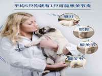 阜南豪御信息科技有限公司