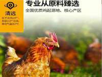 阜南豪御信息科技有限公司