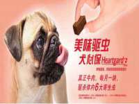 阜南豪御信息科技有限公司