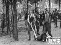 阜南豪御信息科技有限公司