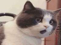 阜南豪御信息科技有限公司