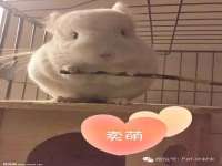 阜南豪御信息科技有限公司