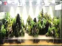 阜南豪御信息科技有限公司