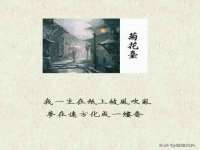阜南豪御信息科技有限公司