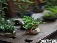 阜南豪御信息科技有限公司