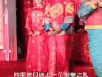 阜南豪御信息科技有限公司