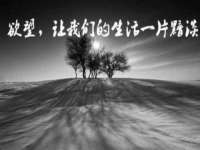 阜南豪御信息科技有限公司