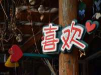 阜南豪御信息科技有限公司