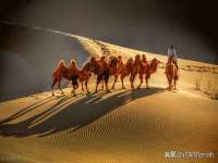 阜南豪御信息科技有限公司