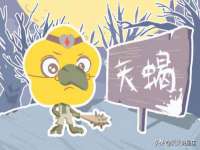 阜南豪御信息科技有限公司