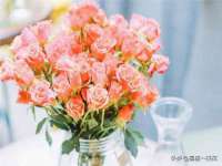 阜南豪御信息科技有限公司