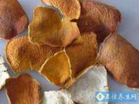 阜南豪御信息科技有限公司