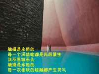 阜南豪御信息科技有限公司