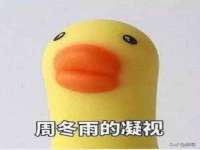 阜南豪御信息科技有限公司