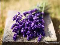 阜南豪御信息科技有限公司