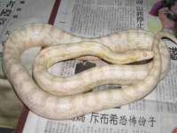 阜南豪御信息科技有限公司