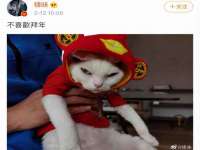 阜南豪御信息科技有限公司
