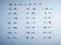 阜南豪御信息科技有限公司
